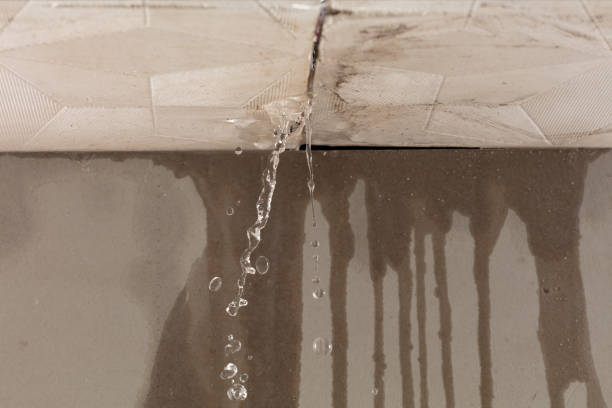 Professional Flood Damage Cleanup technician working in Wood Dale, IL